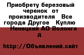 Приобрету березовый черенок  от производителя - Все города Другое » Куплю   . Ненецкий АО,Волонга д.